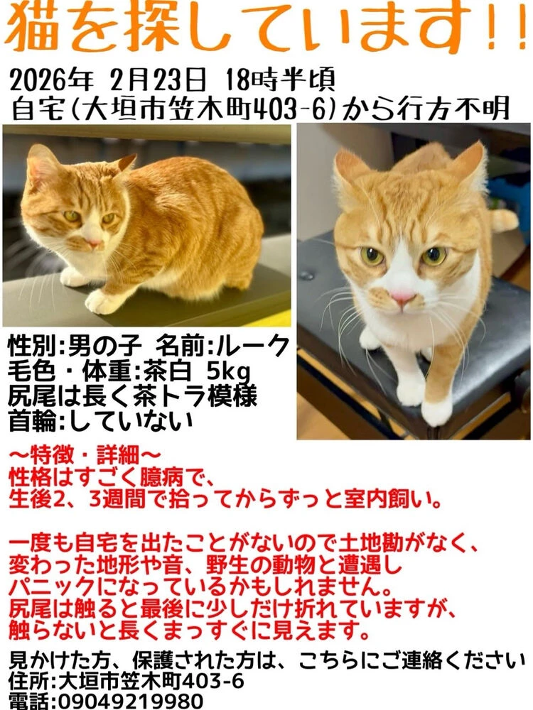 ブログ