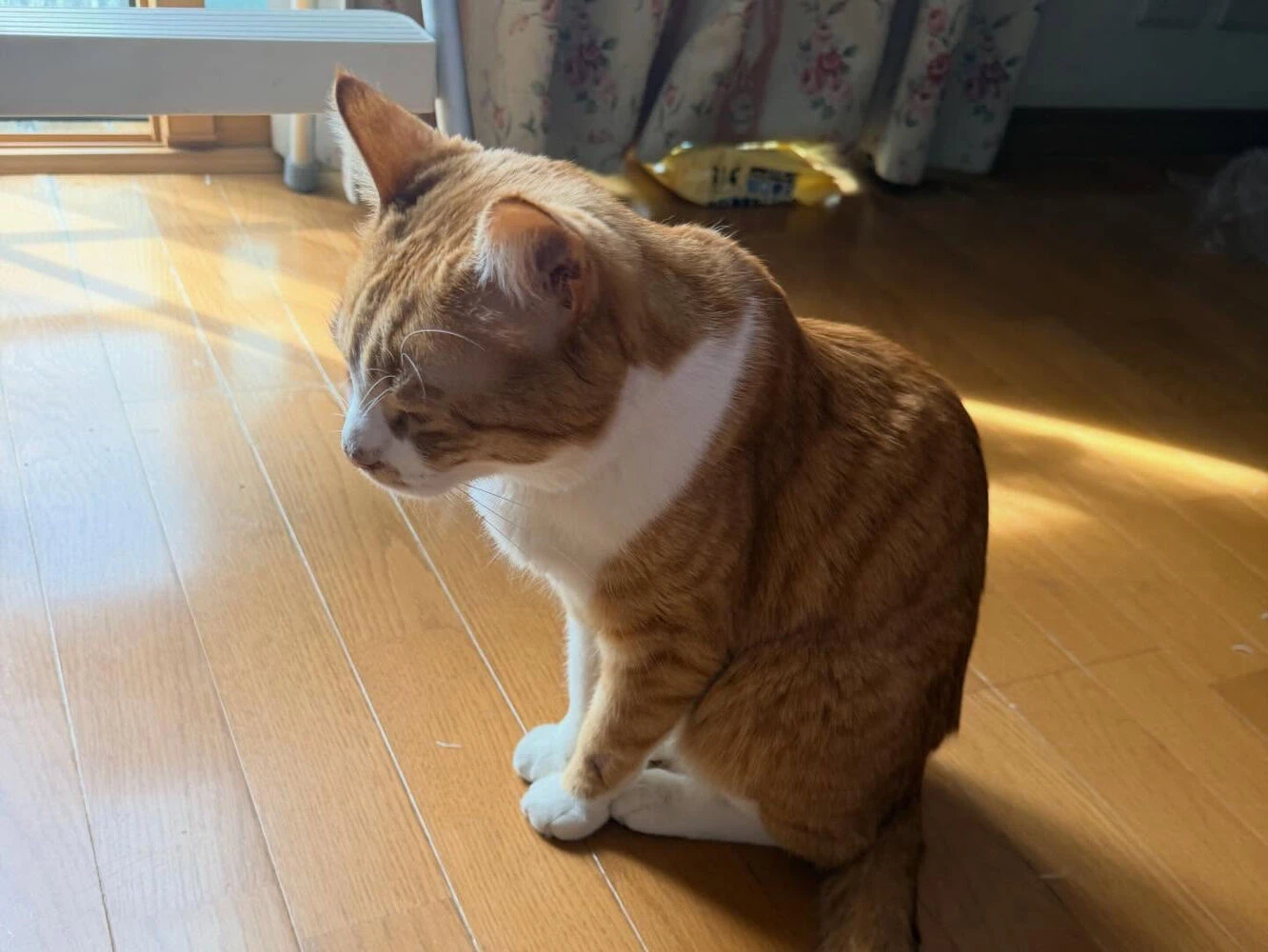 ブログ